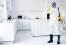Comment se débarrasser des souris