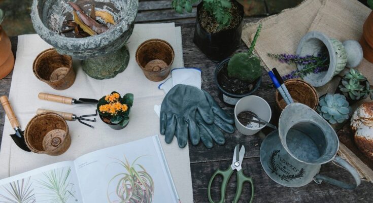 Émission de Radio sur le Jardinage