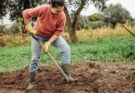 Retourner la terre : bonne ou mauvaise idée ?