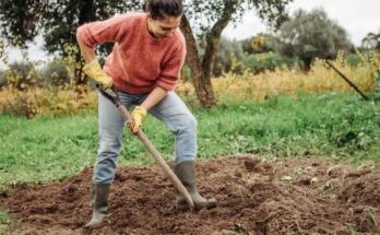 Retourner la terre : bonne ou mauvaise idée ?