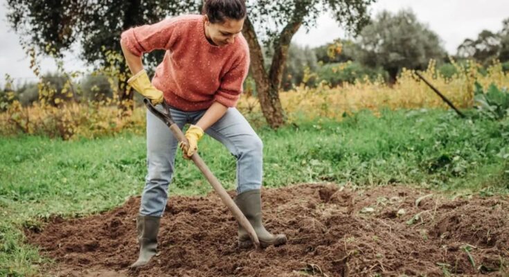 Retourner la terre : bonne ou mauvaise idée ?