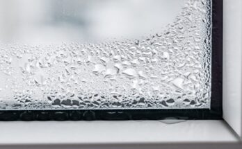 Comment stopper la condensation sur vos fenêtres en hiver