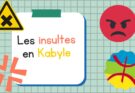 Top 5 des insultes en Kabyle et leurs significations