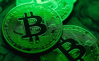 Cryptomonnaies : l’Algérie dit non