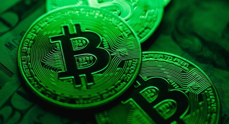 Cryptomonnaies : l’Algérie dit non