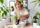 Les bienfaits prouvés des plantes d’intérieur