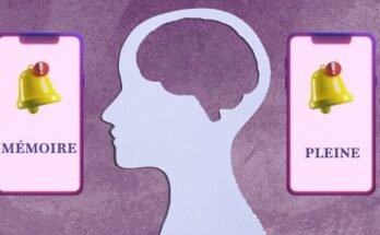 Écrans, IA et mémoire : ce que la science dit